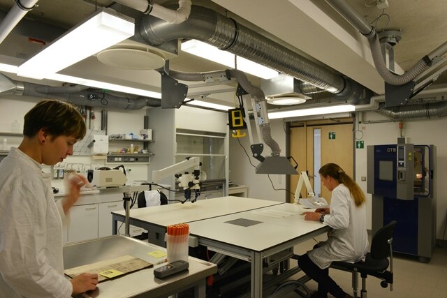 Das Foto zeigt zwei Frauen im Arbeitskittel an Arbeitstischen in der Restaurierungswerkstatt.